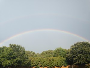 Rainbows like this one are seldom seen during a drought.  This one followed an afternoon shower in Greenville, Texas in August 2013.  What a welcomed sight.  Virgil Seay loved to see rain and rainbows.