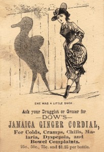 Jamaica Ginger Cordial
