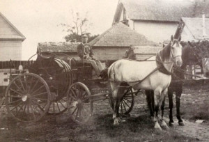 Greenville's first fire wagon, about 1891. C.C. Eiland is the driver.