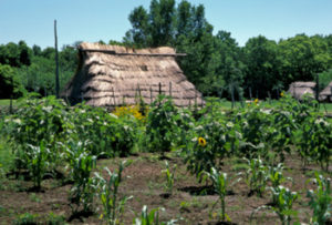 Shawnee men hunted and farmed wherever they found peaceful surroundings.