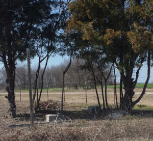 Courtesy of Kathy Hall.  Mass grave of five people who died of dreadful small pox east of Muddig.  Thirteen people in all were quarantined in a tenant farmer’s house, including three children, for two weeks in 1901.  When the quarantine was lifted, the house and all belongs were burned to keep disease from spreading.