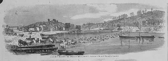 Army beef swimming the Occoquan River, Virginia / sketched by Mr. A.R. Waud. Library of Congress Online Catalog (634,618) Prints and Photographs Division (815,639)